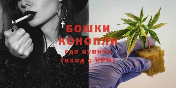spice Вязьма