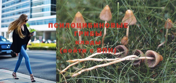 альфа пвп Горняк