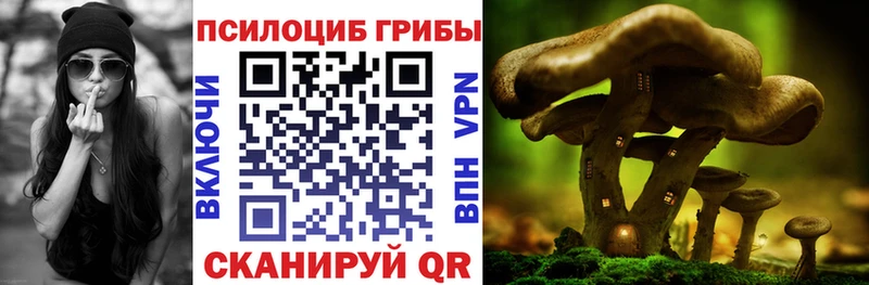 Галлюциногенные грибы MAGIC MUSHROOMS  ОМГ ОМГ ССЫЛКА  Казань 